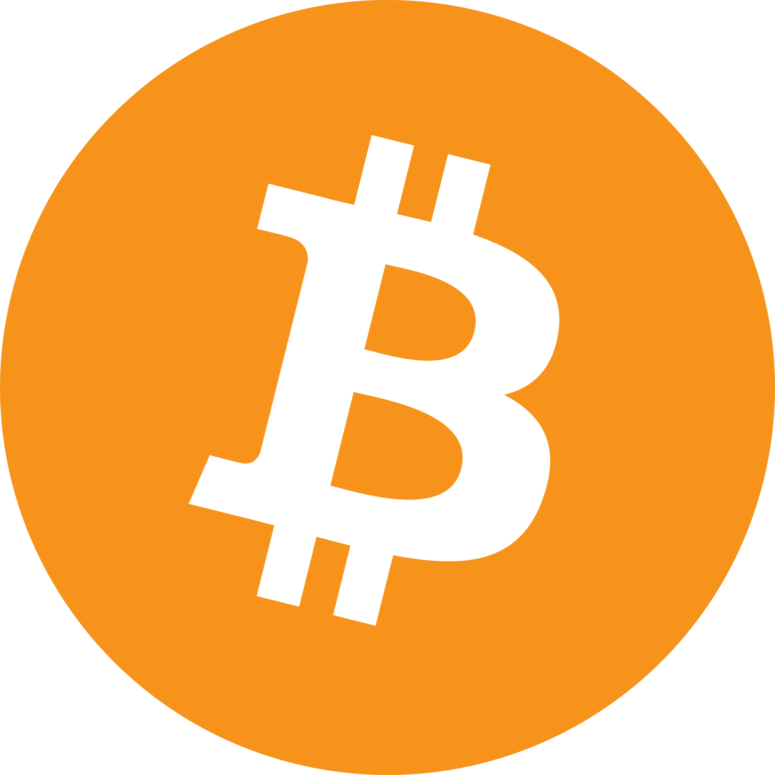 Bitcoin Logo PNG